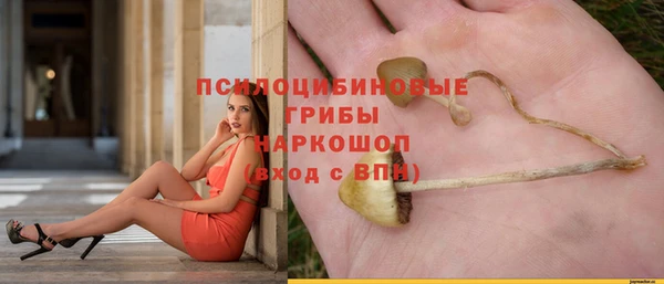 гидропоника Аркадак