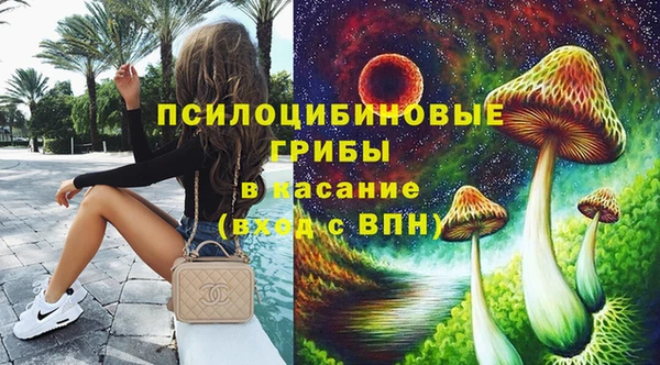 ГАЛЛЮЦИНОГЕННЫЕ ГРИБЫ Армянск