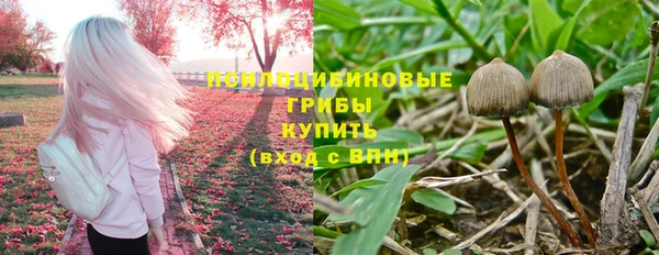 гидропоника Аркадак