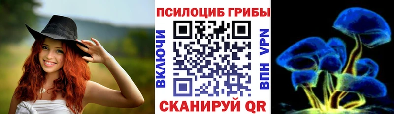 Псилоцибиновые грибы Psilocybine cubensis Пошехонье