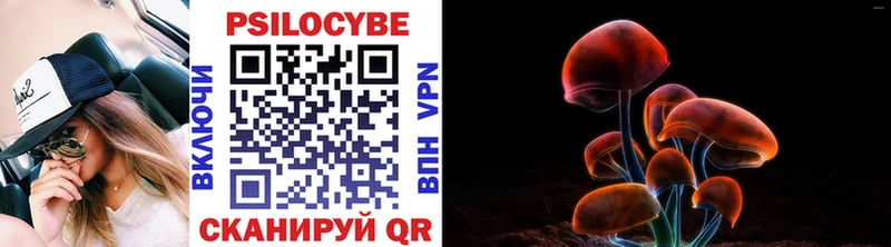 Галлюциногенные грибы прущие грибы  KRAKEN зеркало  Пошехонье  закладка 
